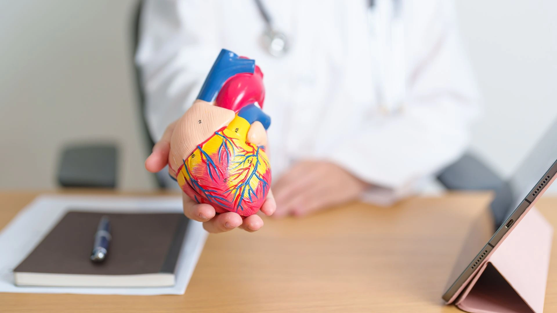 What Is Atherosclerosis?
